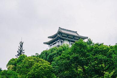 《夜莺传说》值得更多耐心，多项问题同步优化进行中